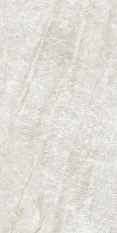 Kraken Polished 24 x 48